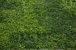 Photo Textures of Nature Mixed